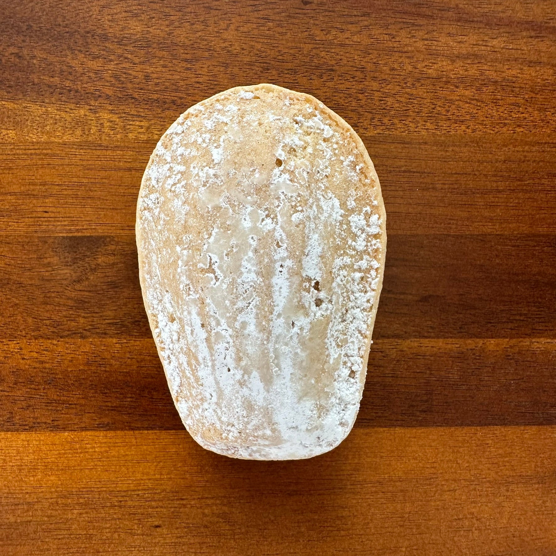 Sugar-Dusted Madeleine